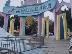 -海合安成都极地海洋公园