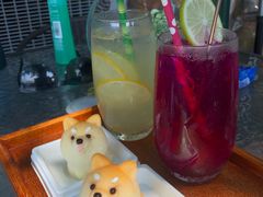 -柴犬高等学院·狗咖·柴犬售卖·宠物训练