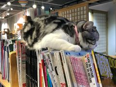 -小时光咖啡馆(开森度假森林店)