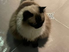 -Estaeslavida分享茄雪茄吧(亿彩购物中心店)