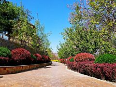 -辛玛王国游乐园