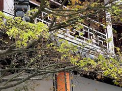 -香积寺