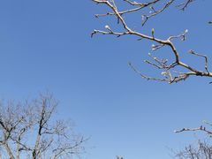 -居庸关长城