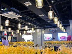 -小肥牛潮汕牛肉火锅(南联店)
