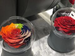 -ROSEONLY诺誓(青岛万象城店)