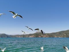 -丽江泸沽湖景区