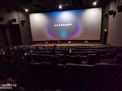 -大光明丽星VIP影城(昌里路杜比全景声店)