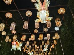 -洋湖国家湿地公园
