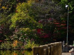 -龙道沟景区
