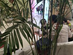 -藏猫猫咖啡主题馆(中央大道店)