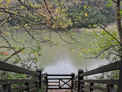 -白马涧龙池景区