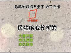 -守诺宠物医院·眼科· 特色牙科·异宠专科(虹口店)