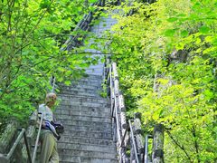 -汤旺河林海奇石景区