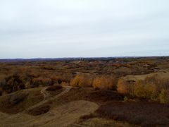 -塞罕坝国家级自然保护区