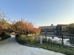 -雅馨国际月子中心