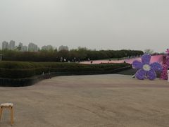 -群力丁香公园