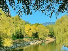 -北京张裕爱斐堡酒庄