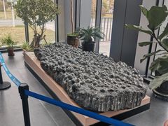 -辽宁古生物博物馆