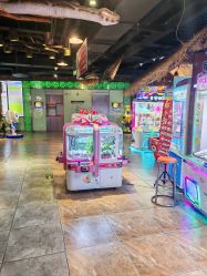 -卡通尼·Safari非洲探索乐园·生日会(金桥国际商业广场店)