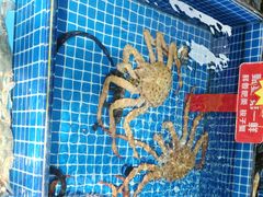 -渔港甄宴·海鲜·地标烟台菜(金沙滩店)