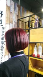 -藤野造型
