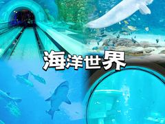 -亚特兰蒂斯水世界冒险乐园
