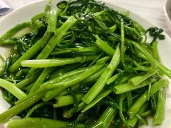 清炒空心菜-新新湘菜馆(新中街二条店)