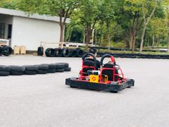 -上海海湾国家森林公园