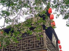 -东关街美食广场