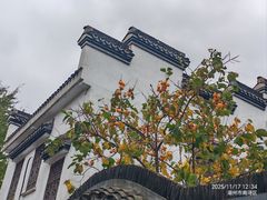 -丝绸小镇荻港古村