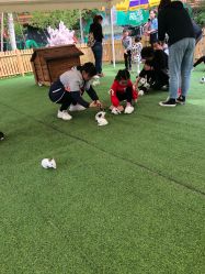 -萌宠亲子动物乐园(槐房万达店)