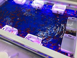 -孩子王童乐园(成都吾悦广场店)