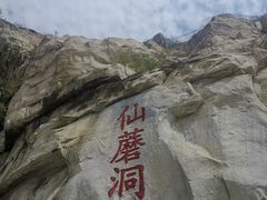 -仙蘑洞