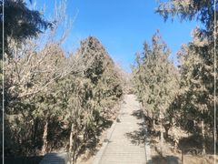 -红螺寺