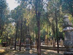 -四门塔风景区