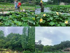 -广州莲花山旅游区