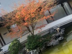 -秋霞圃
