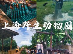 -上海野生动物园