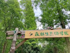 -东平国家森林公园