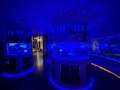 -上和臻品中国菜(花园街店)