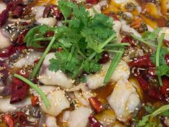 柔和麻辣鱼-立标杆麻辣鱼(宝龙广场店)