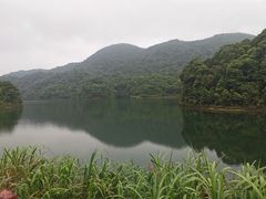 -广州市石门国家森林公园