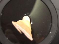-星巴克(朵云轩店)