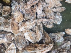 -四海鲜渔家菜(黄金海岸店)
