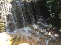 -王顺山国家森林公园