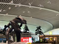 -青岛胶东国际机场