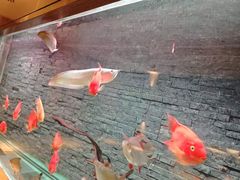 -手佳·水疗汇(嘉益店)