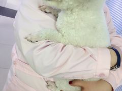 -宠颐生中康贝怡动物医院