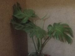 -颐润堂专业养生(五道口华清商务会馆店)