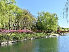 -元大都城垣遗址公园